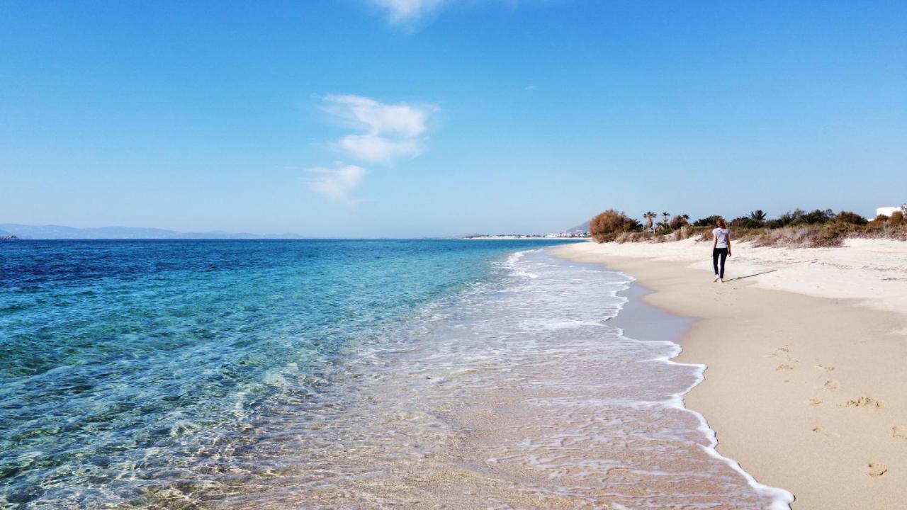 Studios Vrettos Beachfront Hotel Pláka Dış mekan fotoğraf