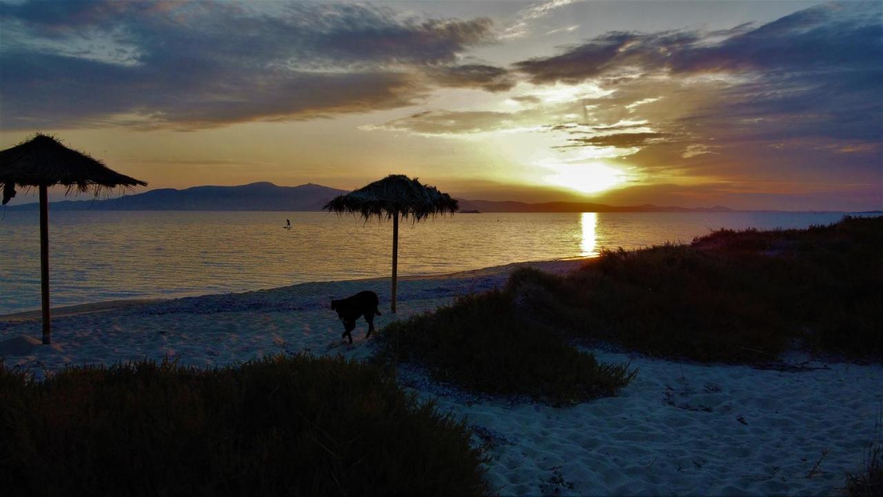 Studios Vrettos Beachfront Hotel Pláka Dış mekan fotoğraf